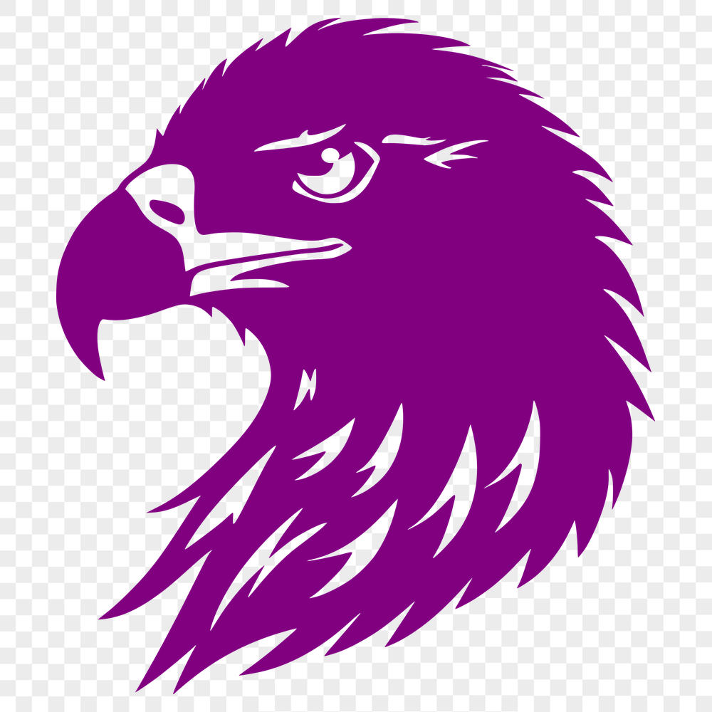 Free Unique Eagle Vector Image