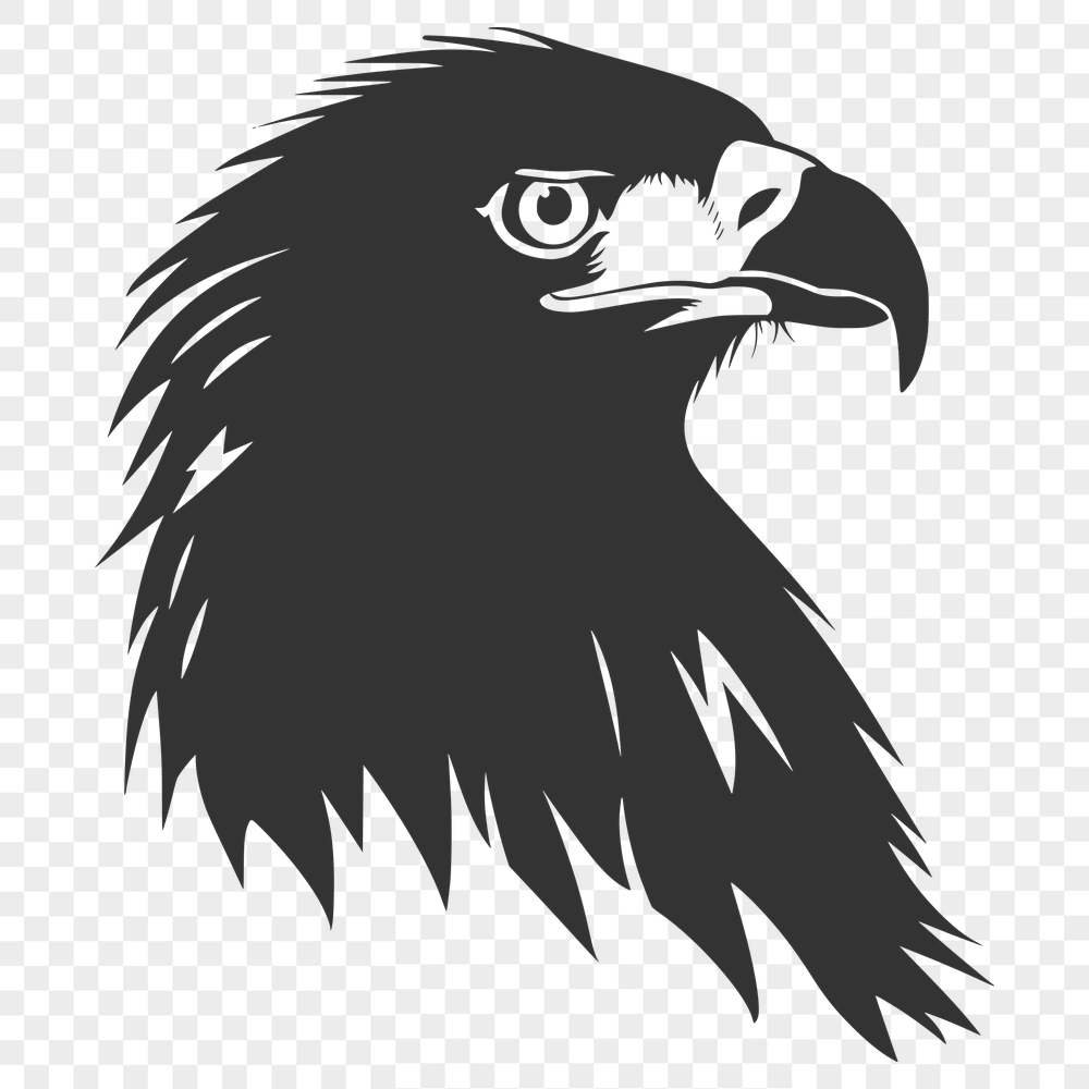 Stunning Eagle SVG, PNG, PDF And DXF Files