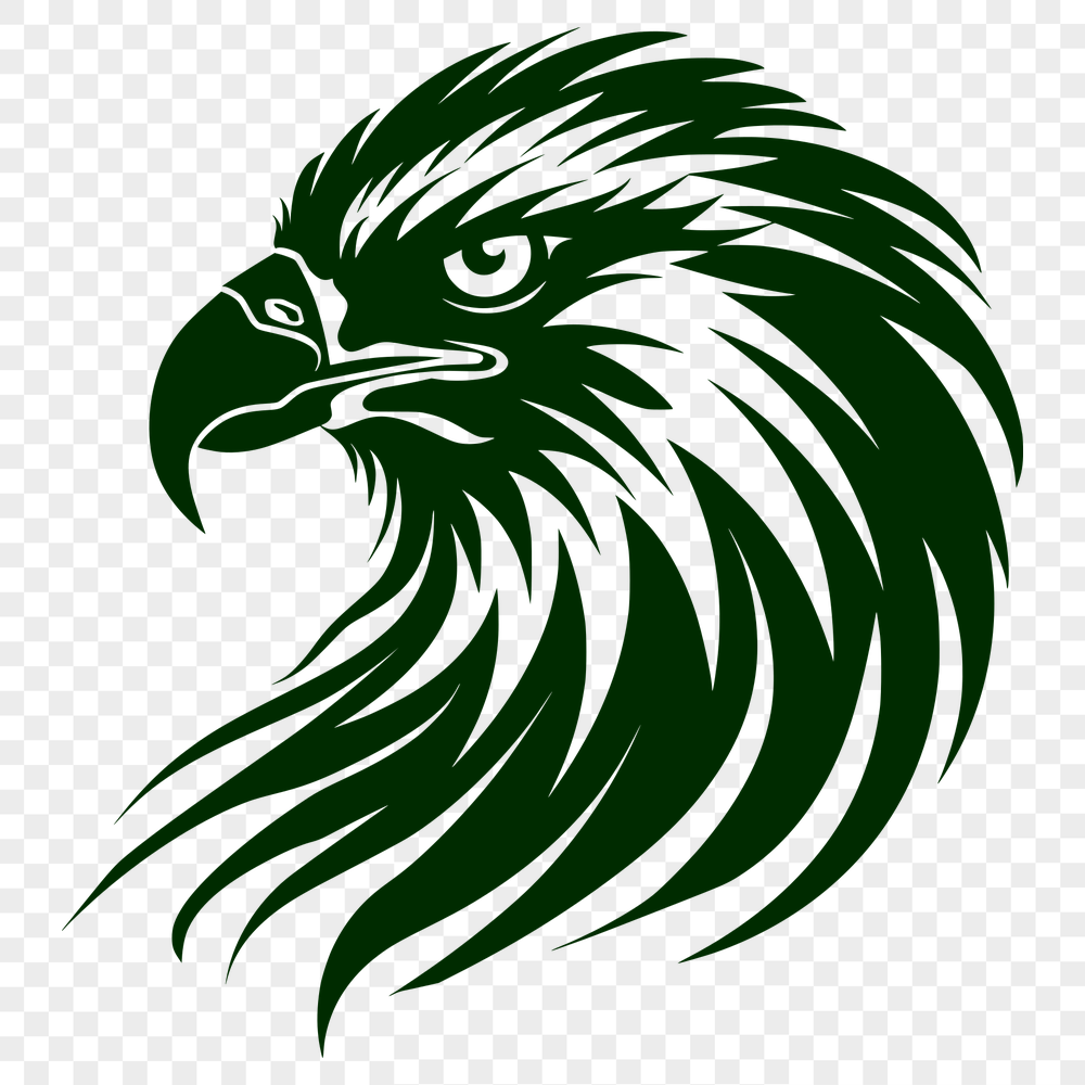 Beautiful Eagle Vector Illustration