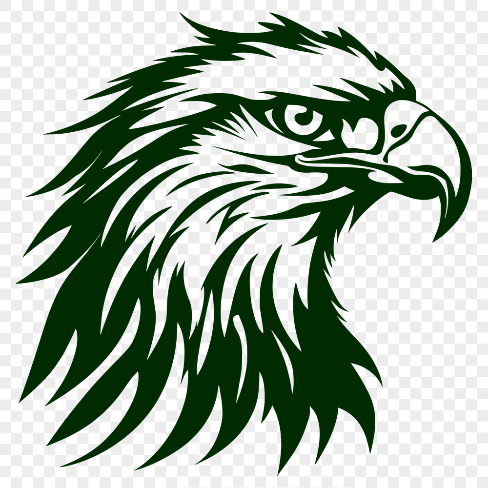 Beautiful Eagle Vector Drawing