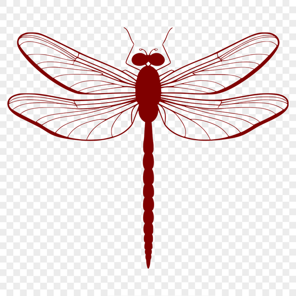 Flying Beauty Vector Art An illustration of a dragonfly in flight, rendered as vector art.