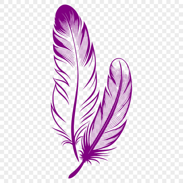 A single feather isolated on a white background, suitable for digital design projects.