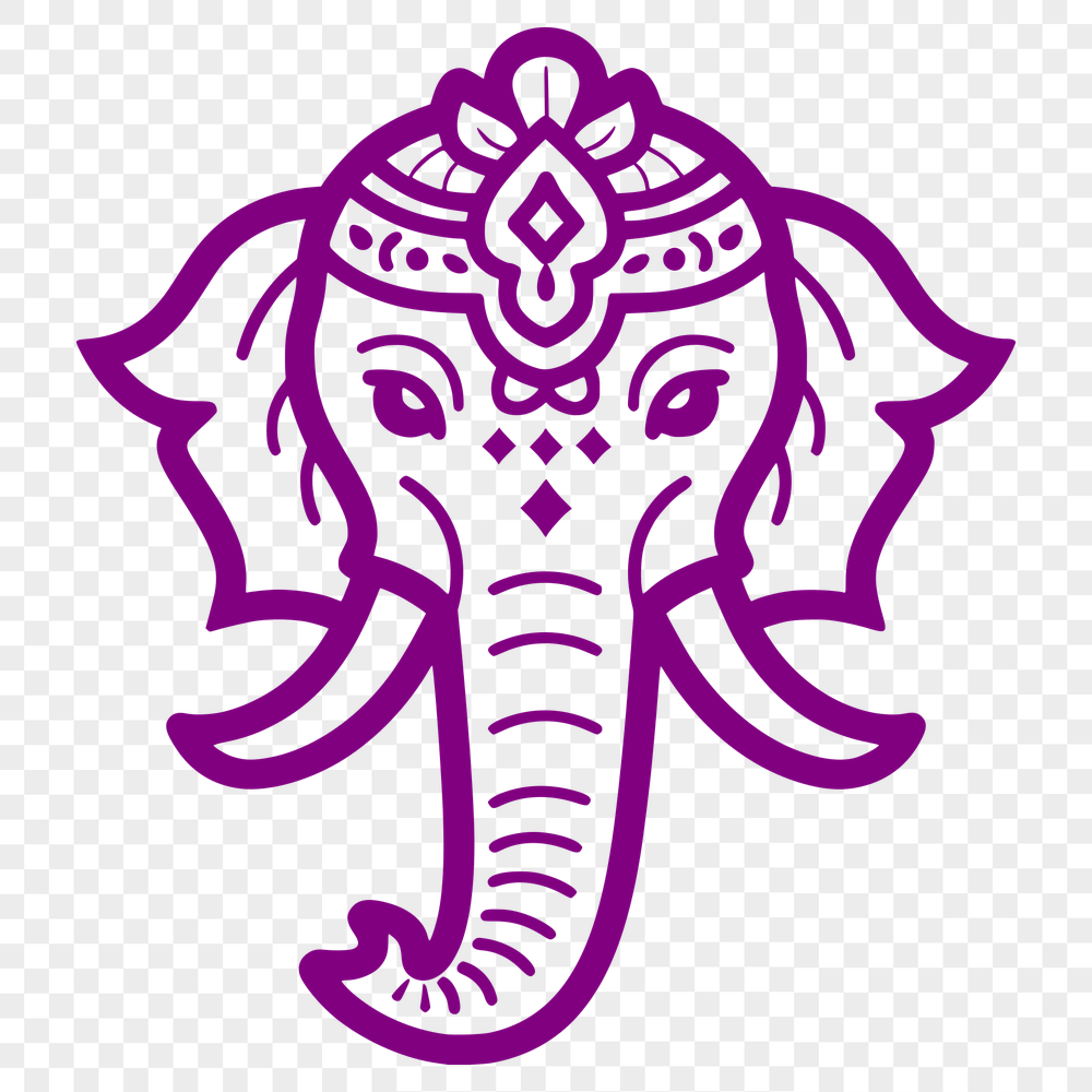 Unique Elephant PNG