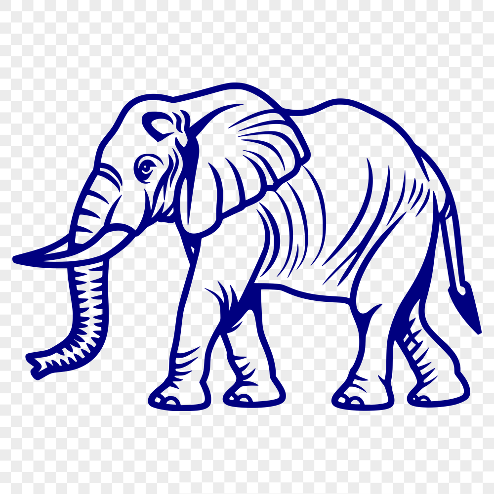 Unique Elephant - For Animal Project