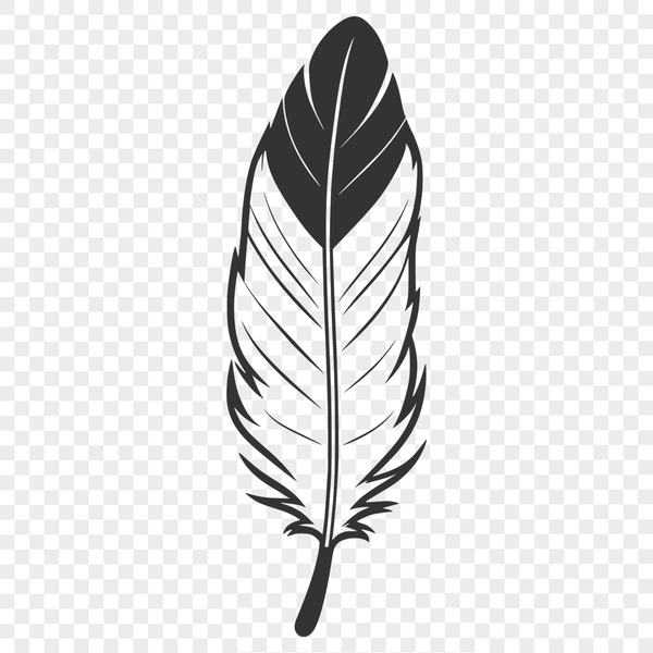 Unique Feather Illustration A high-quality vector graphic illustration of a single feather.