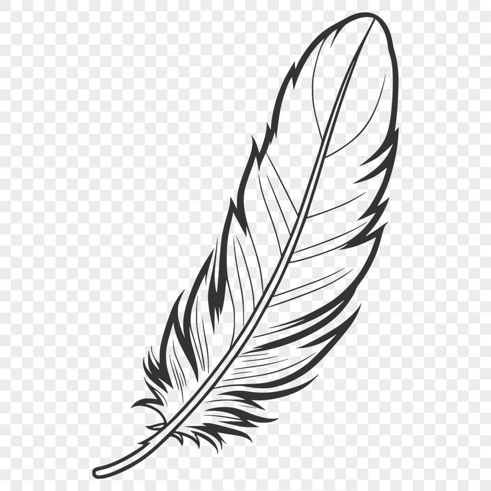 High-Resolution Feather SVG Template A high-resolution vector illustration of a feather, suitable for digital design projects.