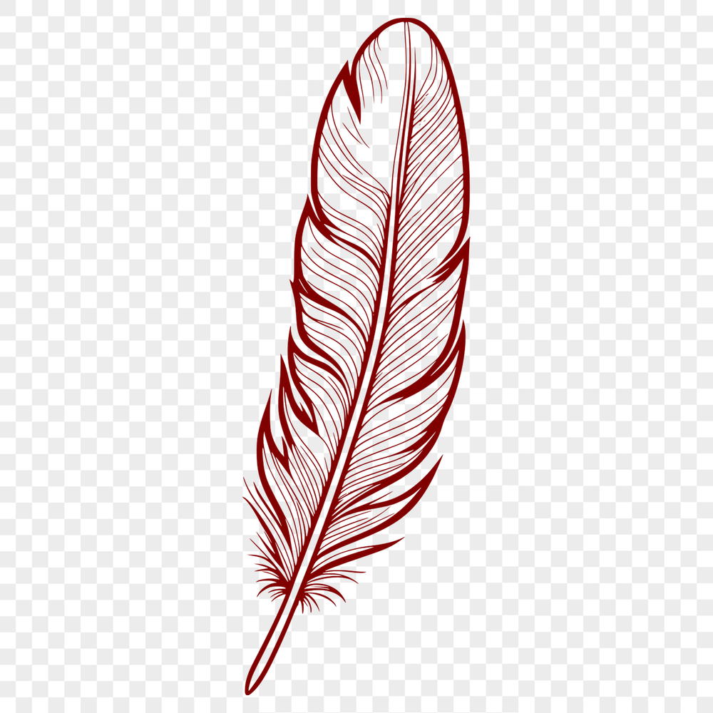 White Bird Feather Vector Clip Art A single white bird's feather with subtle texture and details, suitable as clip art or vector design element.