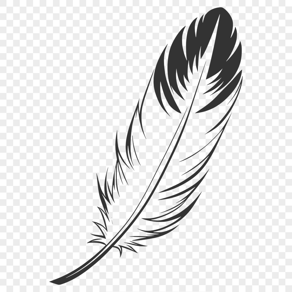 Single Feather Illustration A high-resolution vector illustration of a single feather, suitable for digital design projects.