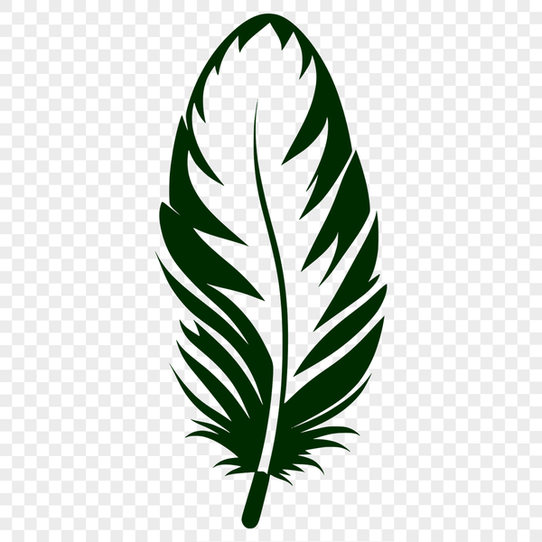 A beautiful, detailed feather illustration A detailed illustration of a single feather with smooth edges, suitable for vector design and commercial or personal use.