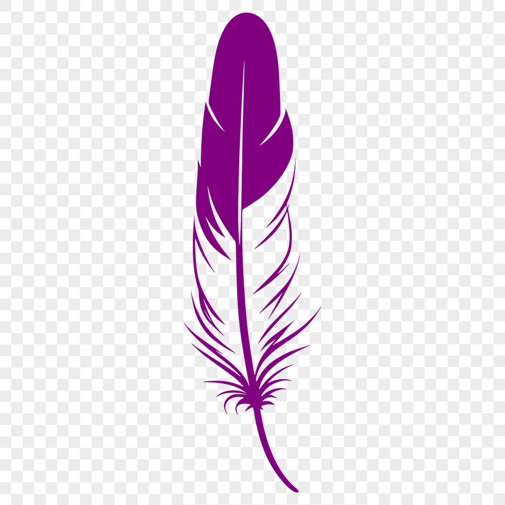 Free Vector Design: A Single Feather SVG A detailed illustration of a single feather with intricate design and textures.