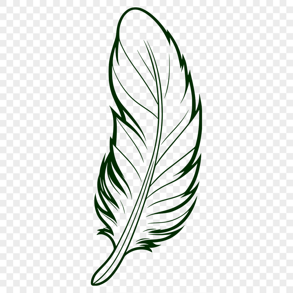 Delicate White Feather Illustration A single white feather with delicate details, designed as an SVG vector graphic.