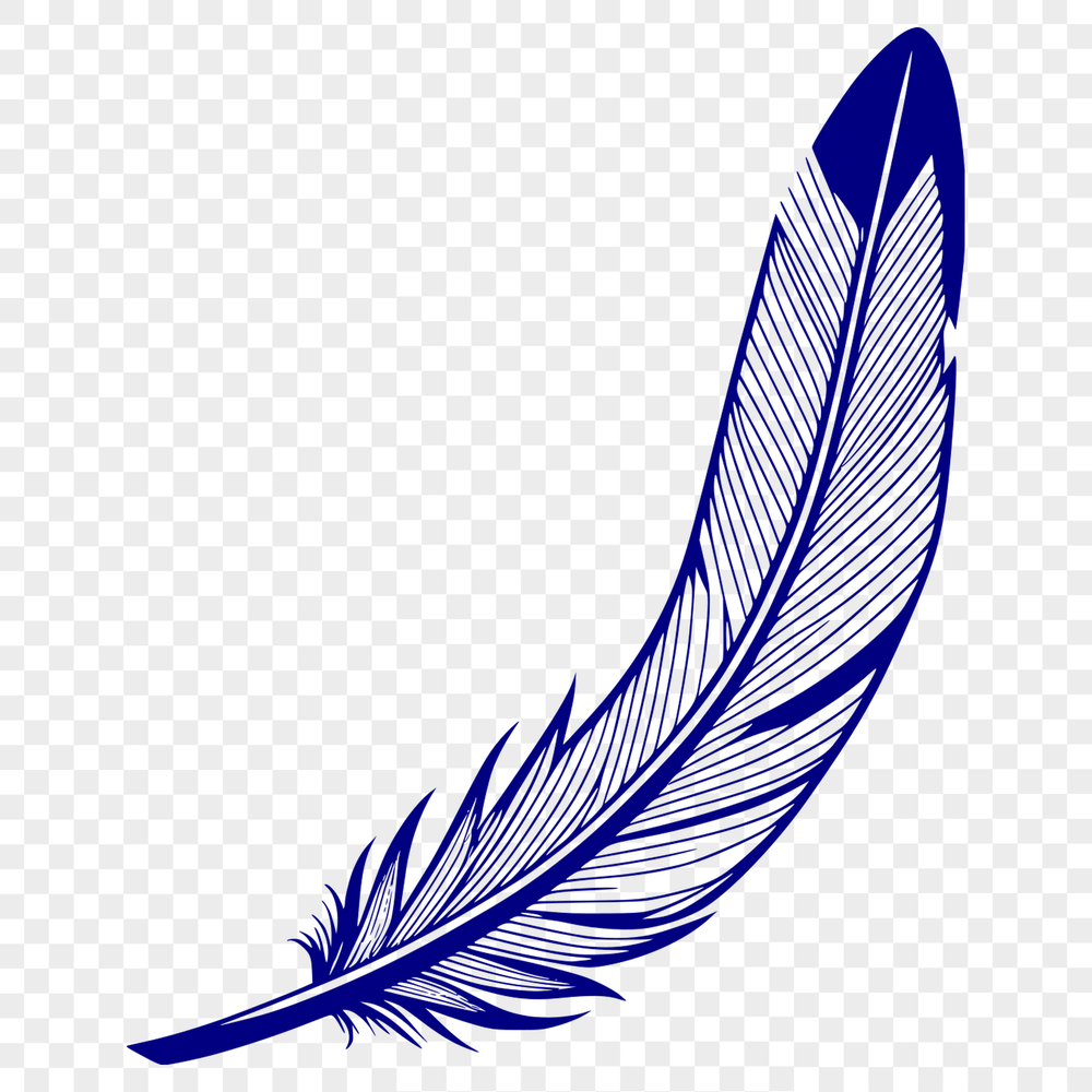 Elegant Feather Design Vector A vector illustration of a single feather with detailed texture and shape.