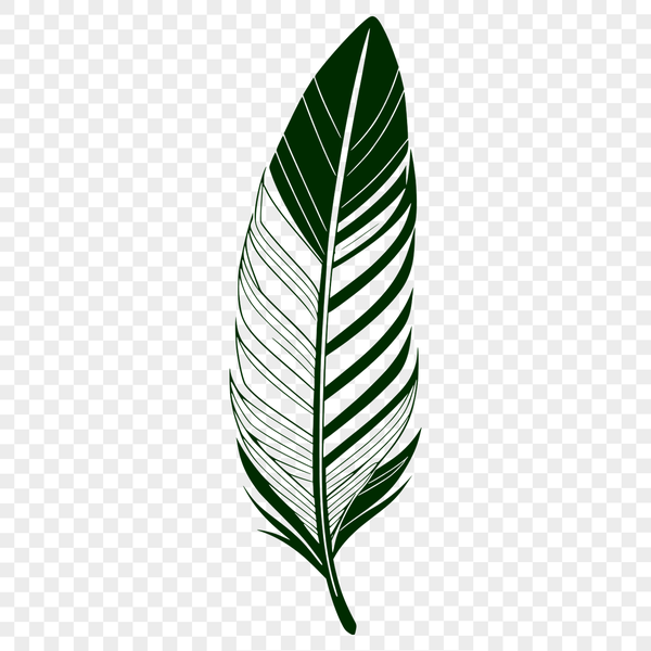 A stylized feather illustration in vector format.