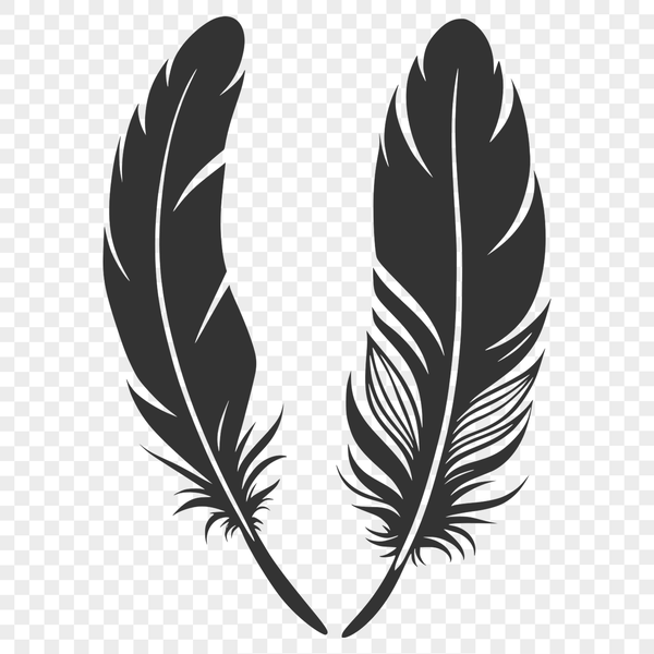 Vector clip art design featuring a stylized feather graphic.