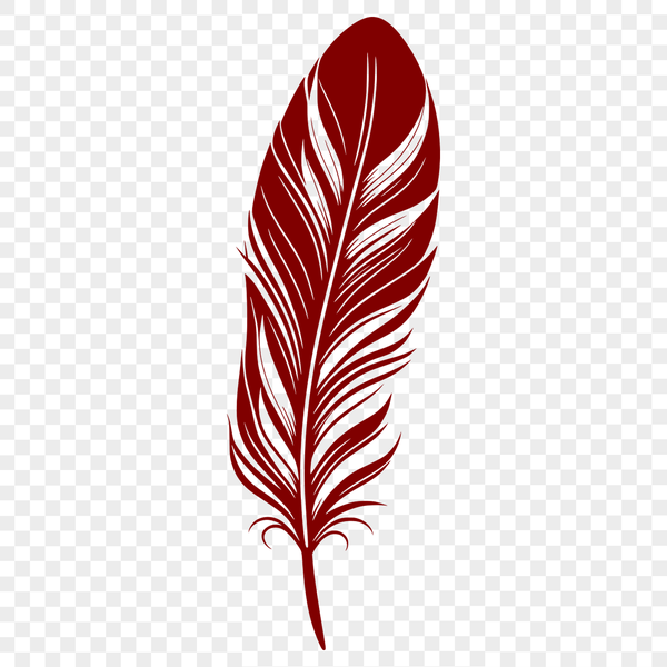 Beautiful Vector Graphic Feather Design A high-quality vector illustration of a single feather with detailed texture and shape.