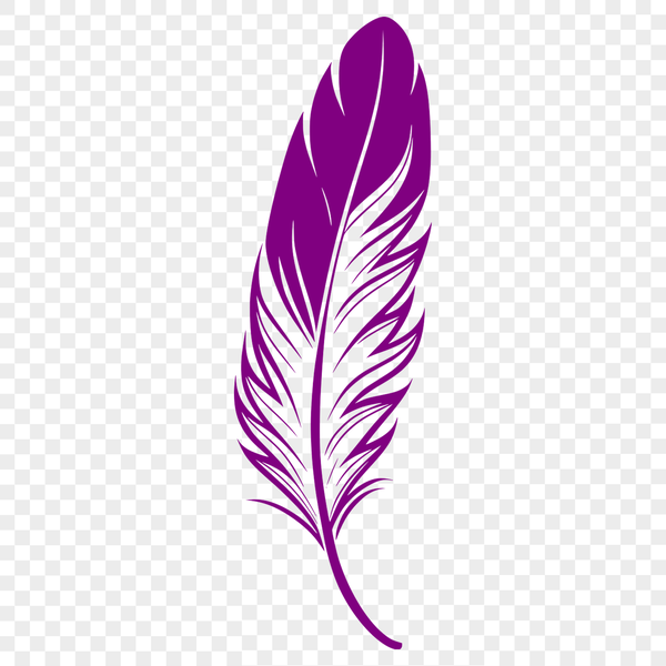 A high-quality, scalable vector graphic (SVG) illustration of a single feather with detailed textures and patterns.