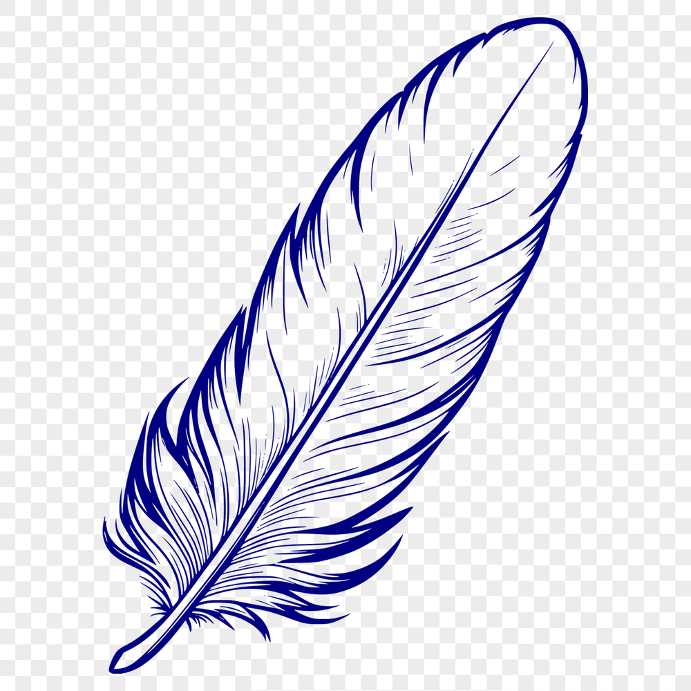 Vector Feather Design with Texture A stylized illustration of a single feather with varying line weights and textures.