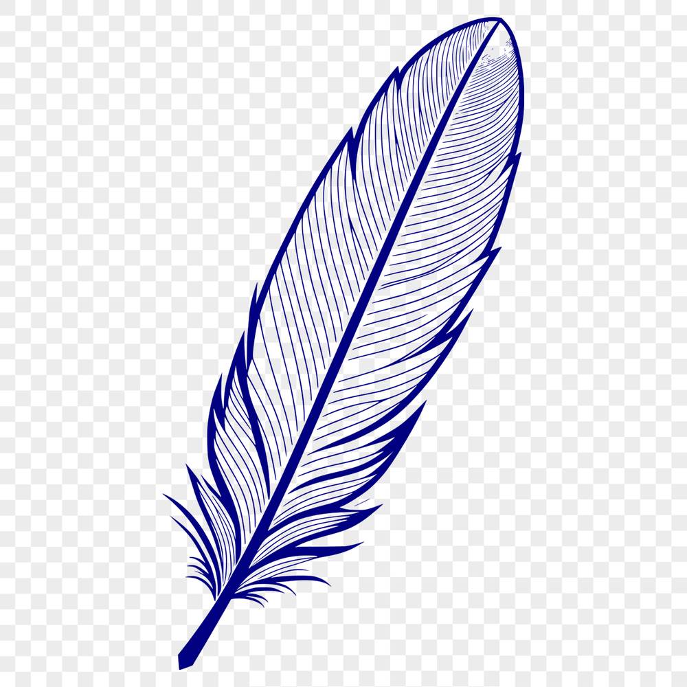 Beautiful Hand-Drawn Feather Design High-resolution vector graphic of a single feather with detailed design features.