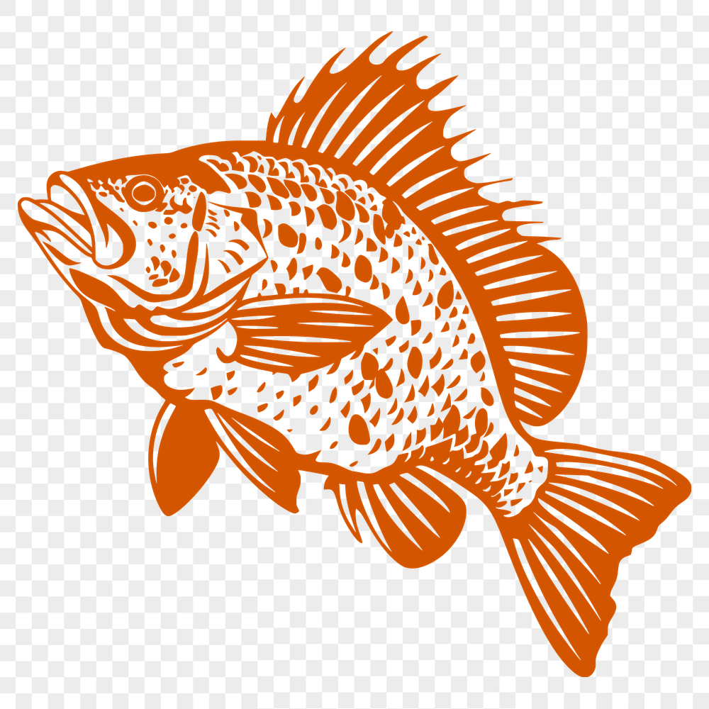 Artistic Fish Clipart