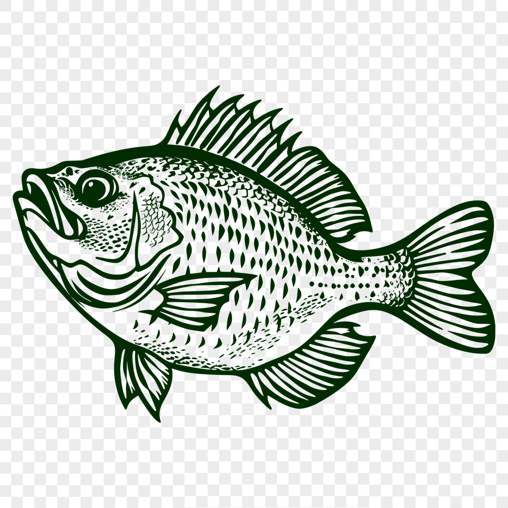 Free Unique Fish Illustration