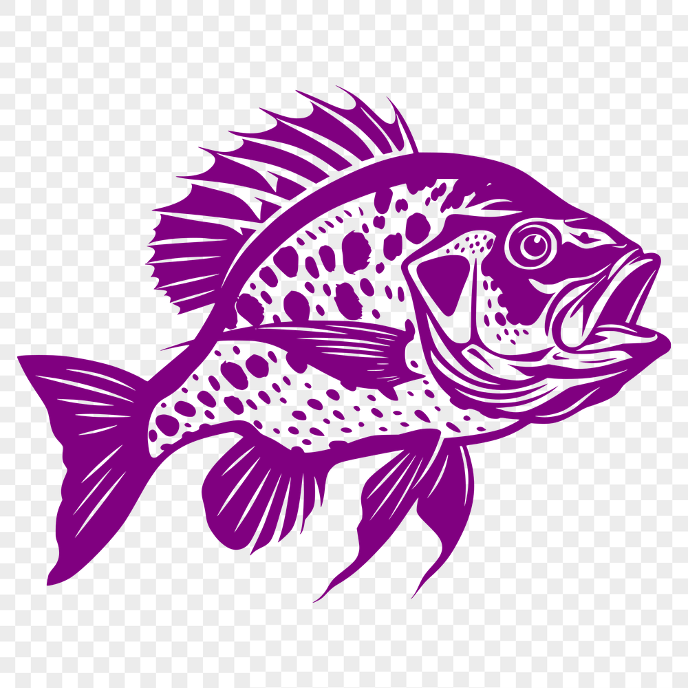 Free Stunning Fish Vector Art