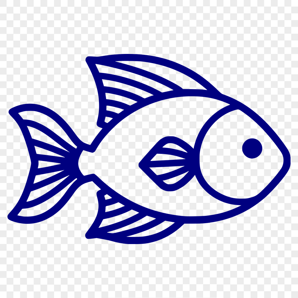 Beautiful Fish PNG