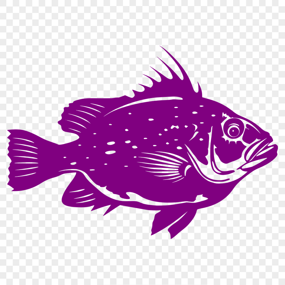 Creative Fish Printable Artwork