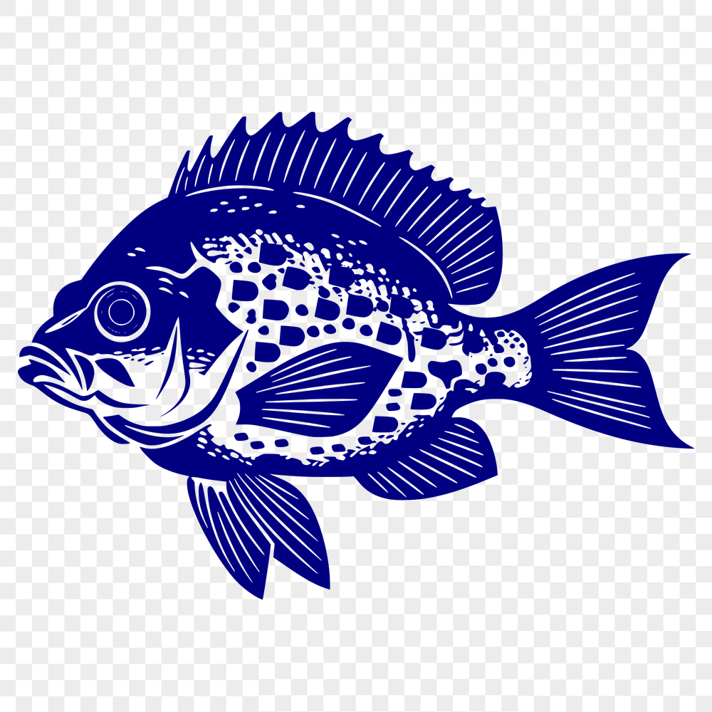 Beautiful Fish SVG, PNG, PDF And DXF Files