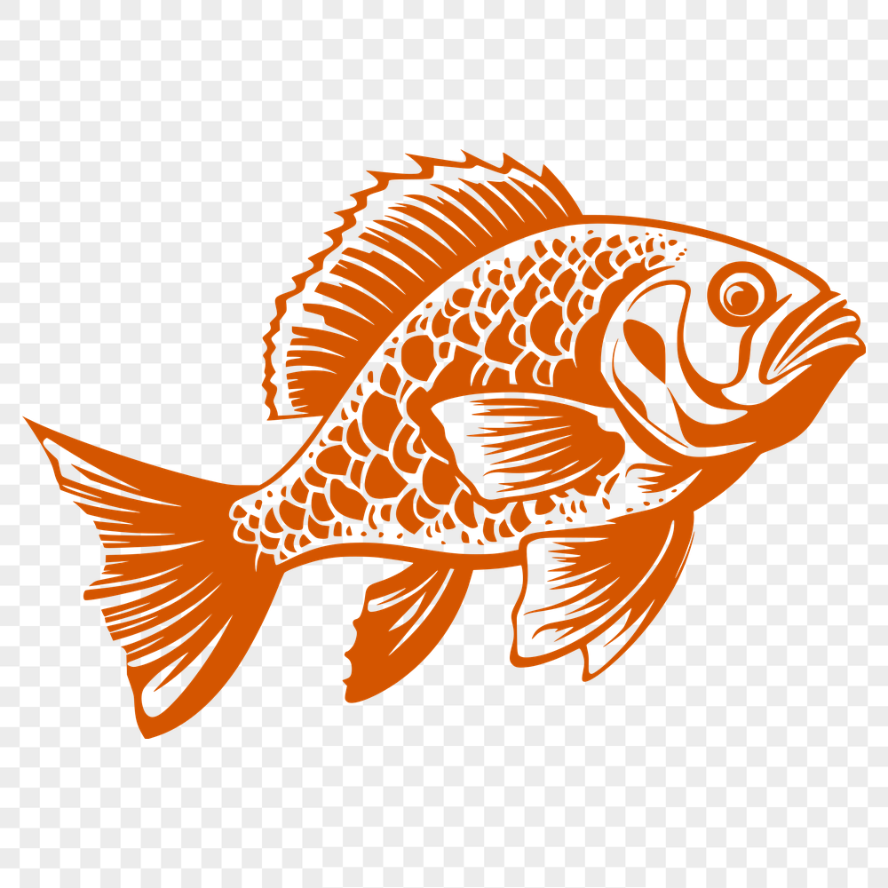 Creative Fish Design