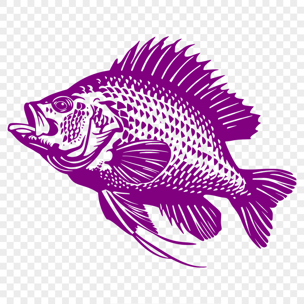 Free Creative Fish Template