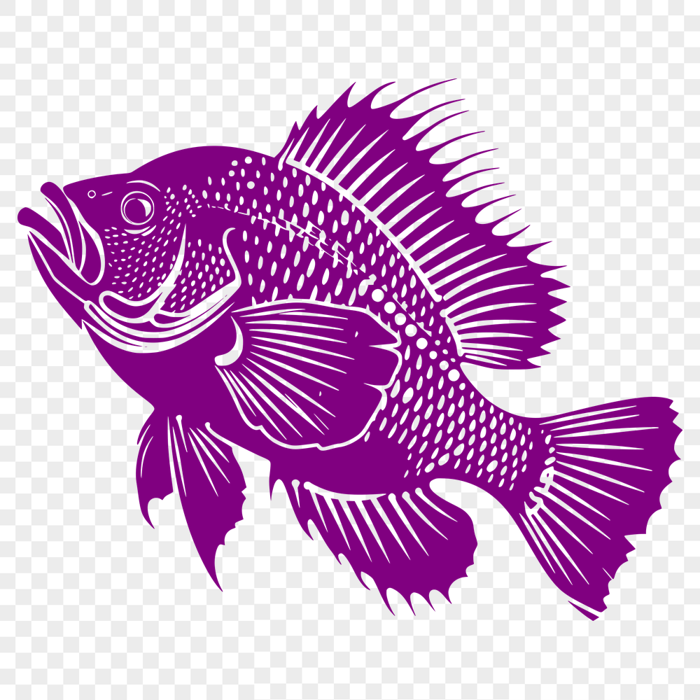 Stunning Fish Vector Illustration