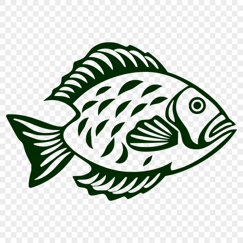 Free Stunning Fish Vector Image