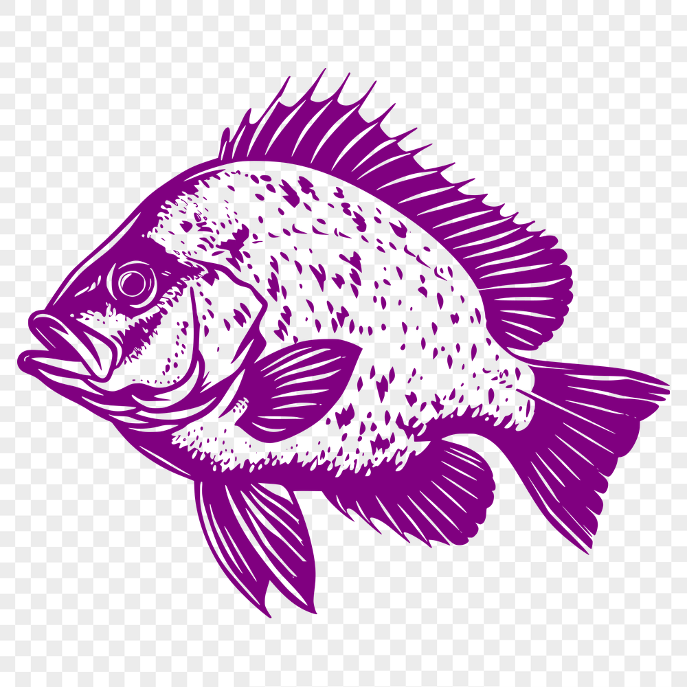 Stunning Fish - Laser Engraver PNG