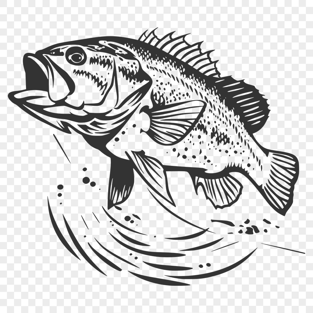 Free Free Fish Drawing