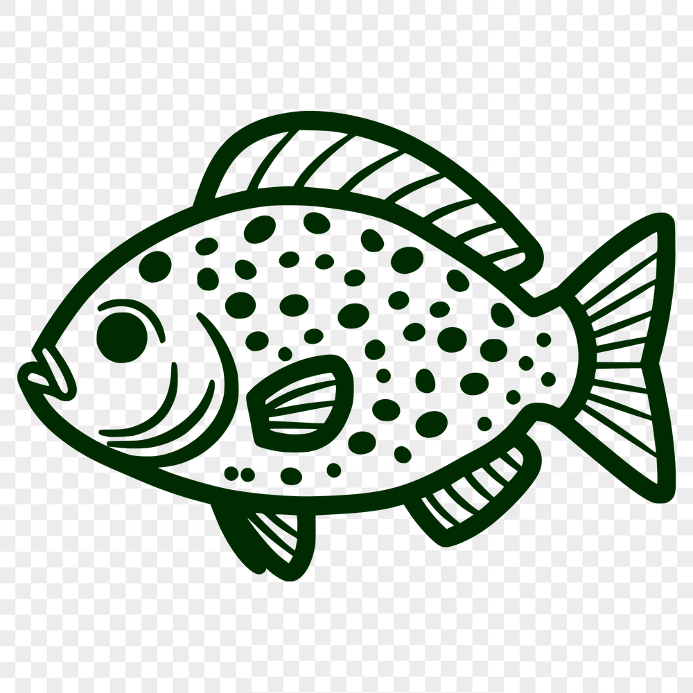 Beautiful Fish SVG