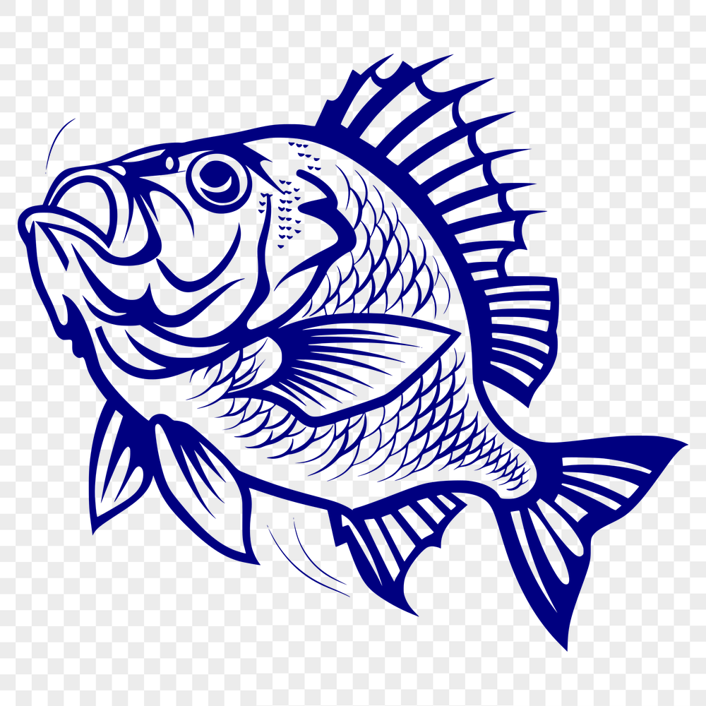 Free Artistic Fish Artwork