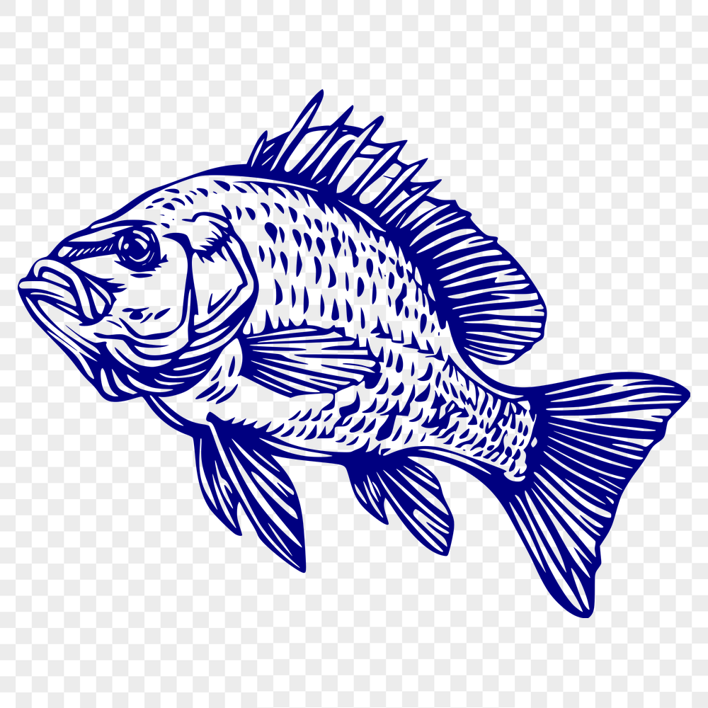 Free Free Fish Vector Image