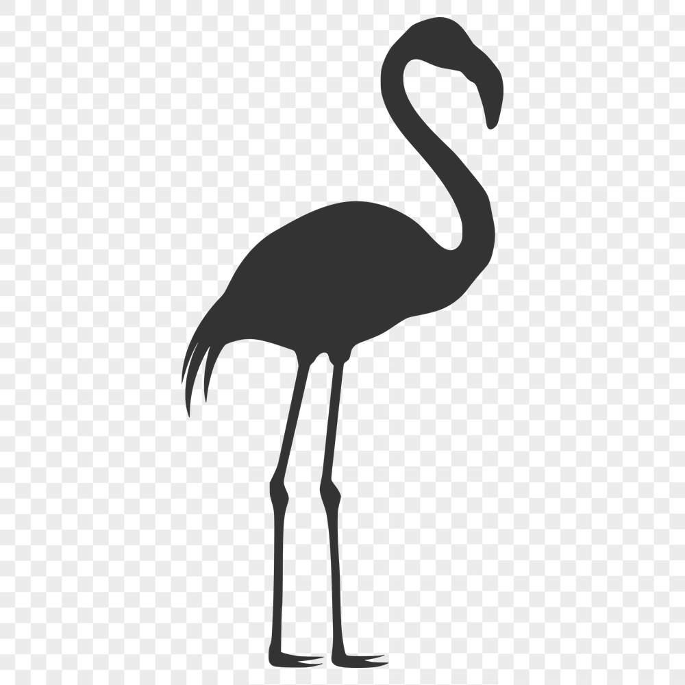 Creative Flamingo Vector Illustration