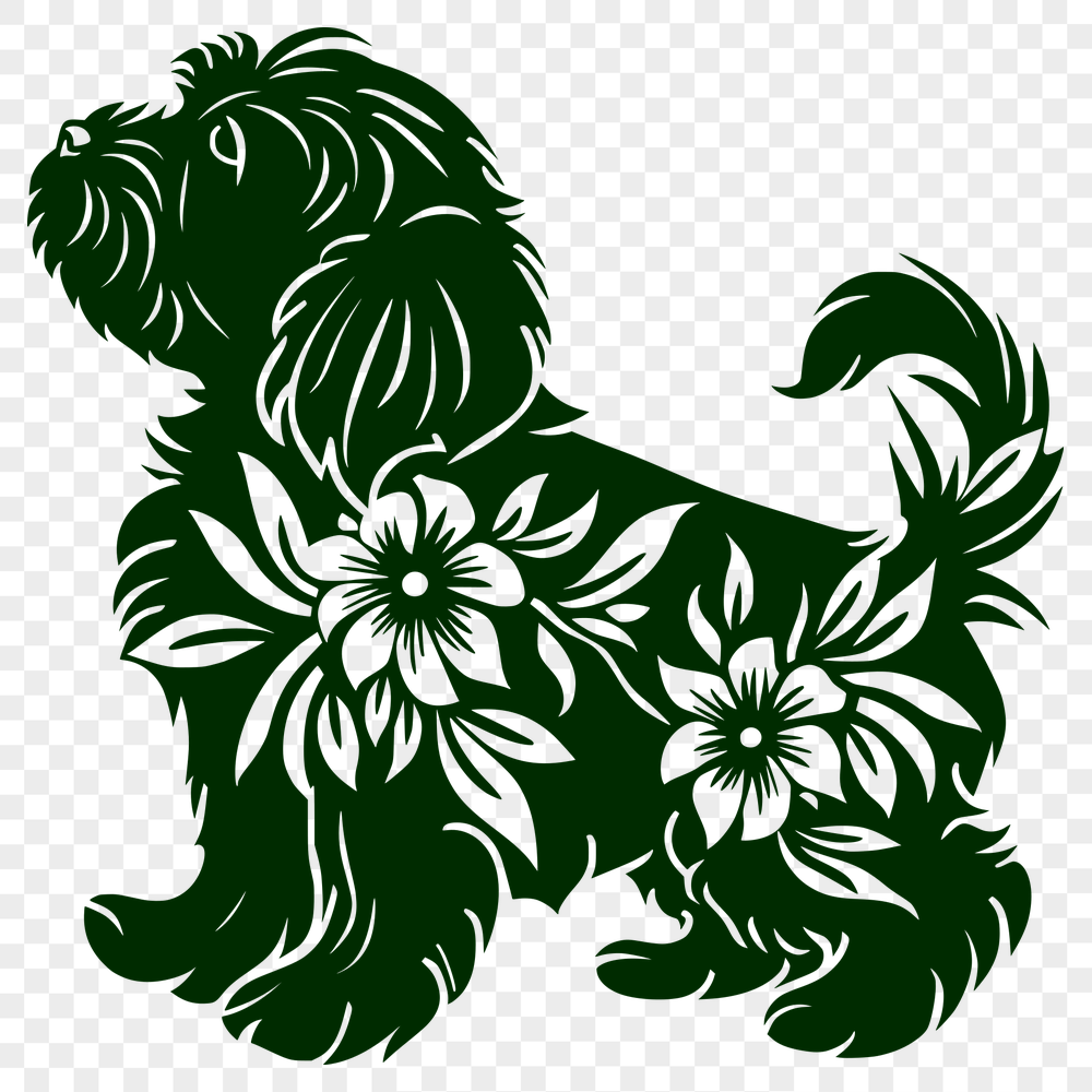 Unique Standing Havanese Digital Artwork