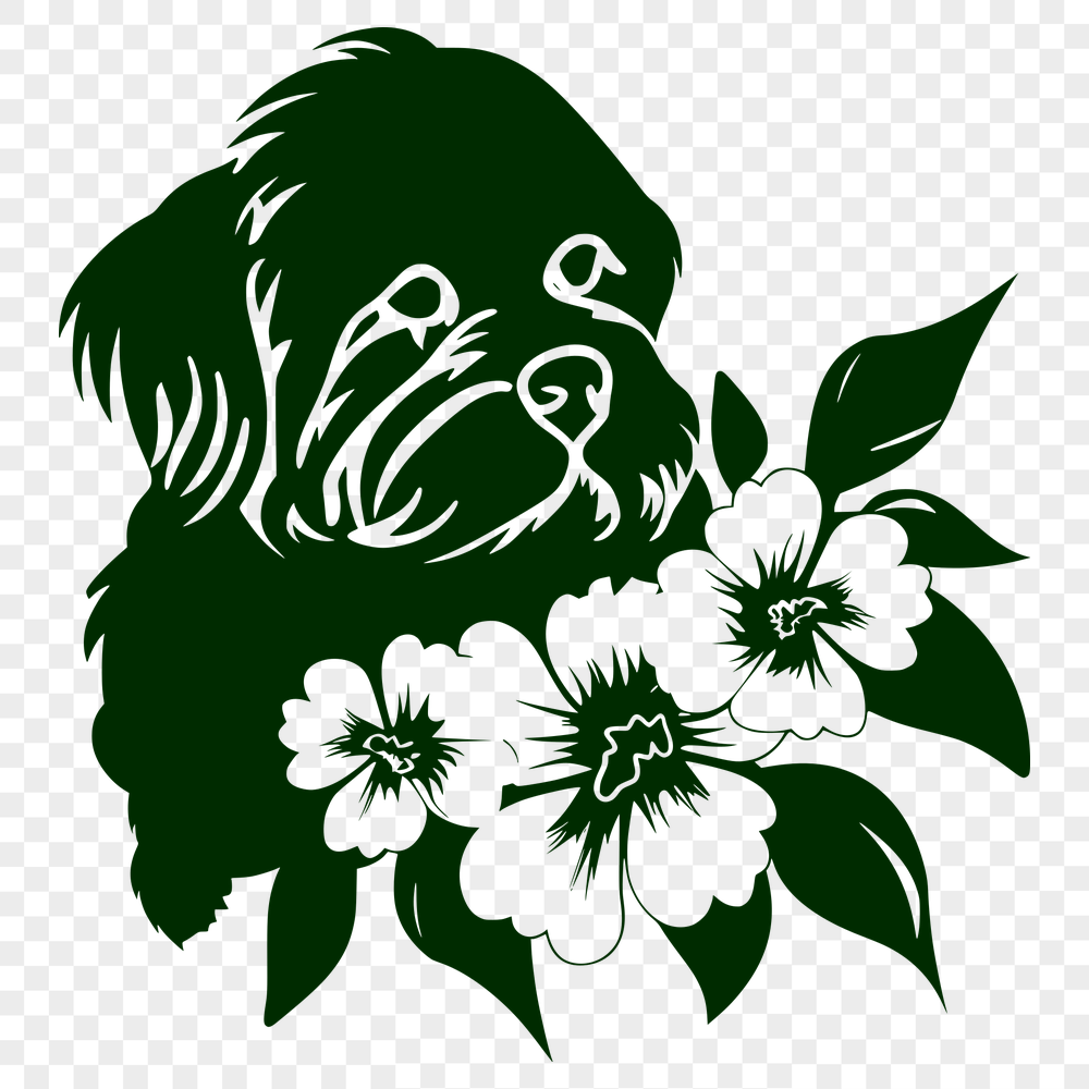 Free Beautiful Shih Tzu Image