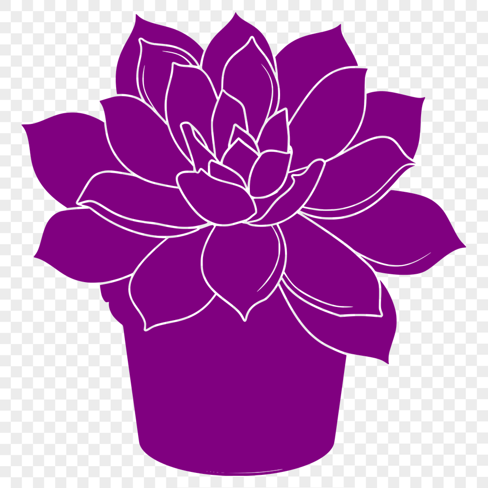 Unique Plant In SVG & PNG