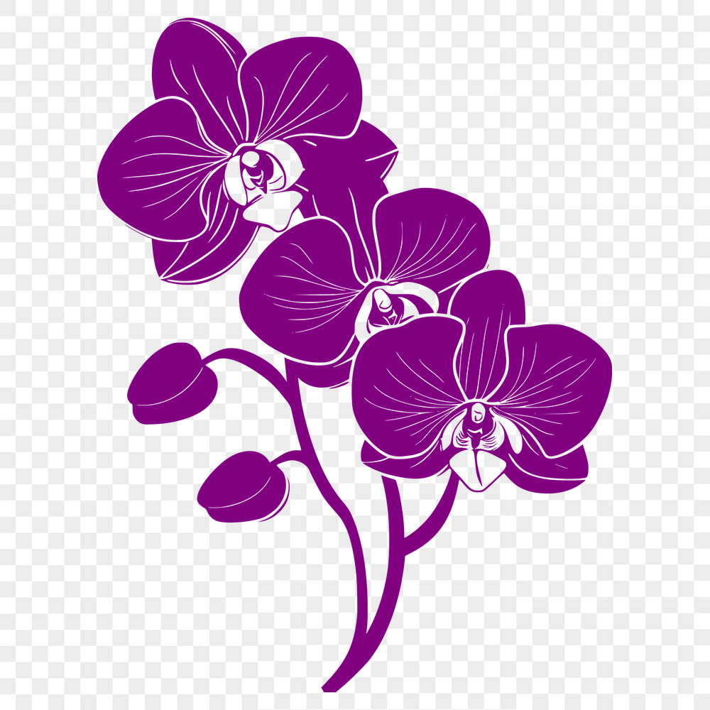 Free Creative Plant - Free PNG Download, Commercial Use