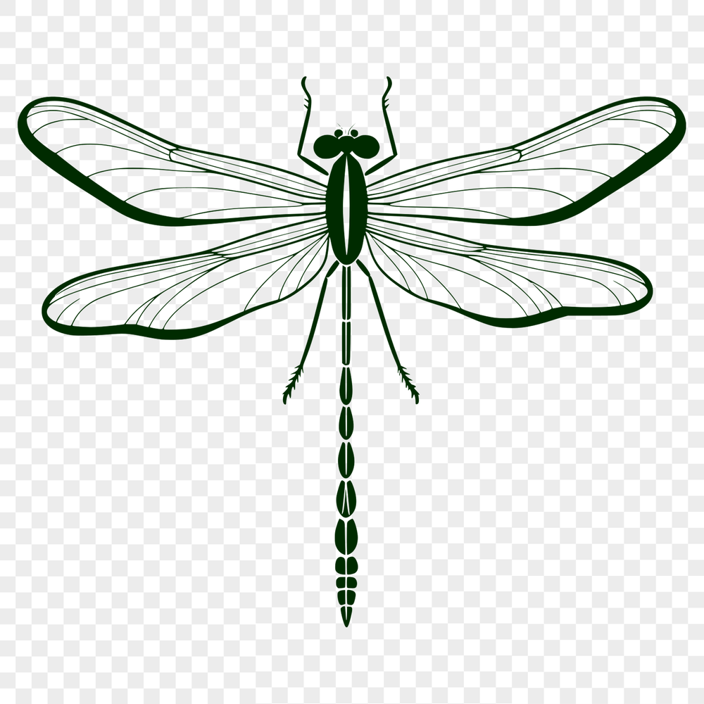 Delicate Dragonfly Design A detailed illustration of a dragonfly in motion, created as a scalable vector graphic (SVG) design.