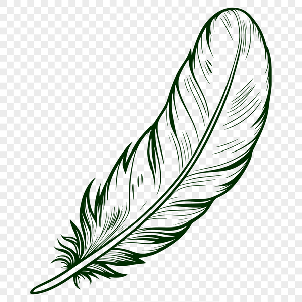 Free SVG Clip Art Feather Design A high-quality vector illustration of a feather, suitable for digital designs and crafts.
