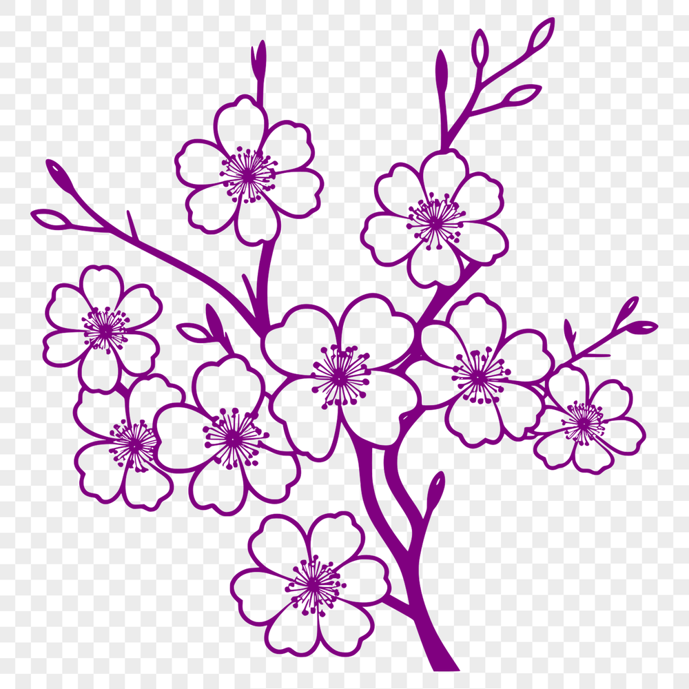 Delicate Sakura Blossom Vector Graphic Vector graphic of a single sakura blossom with delicate petals and stem.
