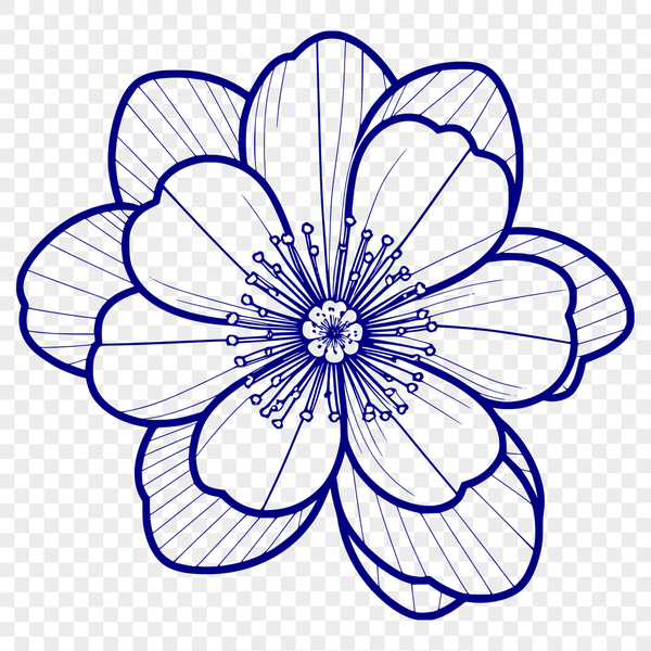 Cherry Blossom Blooming in Full Color SVG A detailed vector illustration of a blooming cherry blossom in full color.
