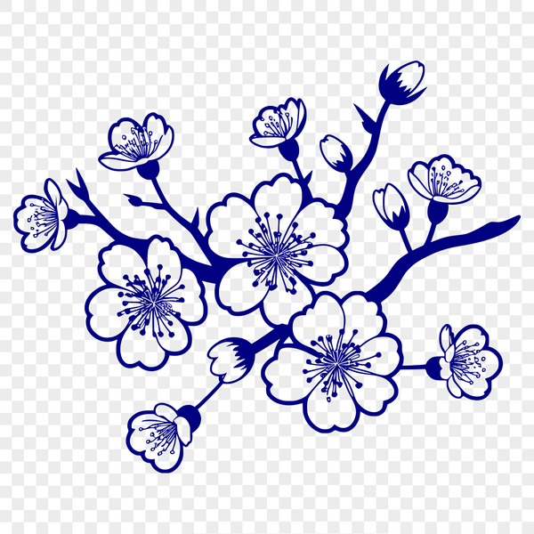Beautiful Sakura Flower Blooms A single cherry blossom in full bloom with five delicate petals, ready for use as vector art.