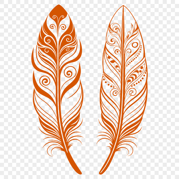 Cleanly Designed Feather Illustration An illustration of a single feather with clean lines and simple design.