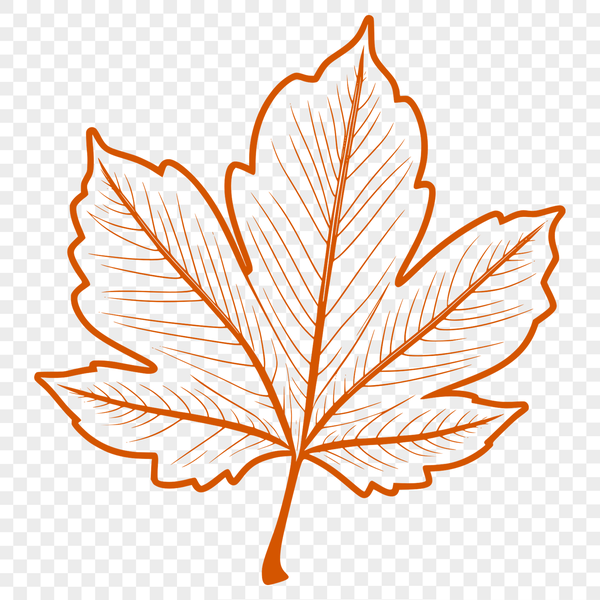 Decorative Leaf Illustration A detailed illustration of a single leaf with veins, suitable for digital design and cutting applications.