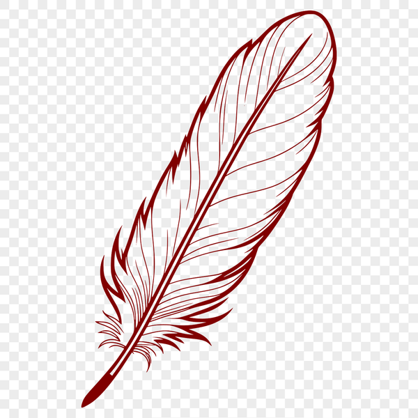 Single Vector Feather Illustration A detailed illustration of a single feather, created as a vector graphic.